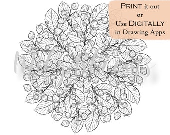 Download Strawberry Mandala Etsy