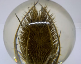 Beautiful Vintage Hafod Grange Teasel Thistle Resin Desk Paperweight(2000)