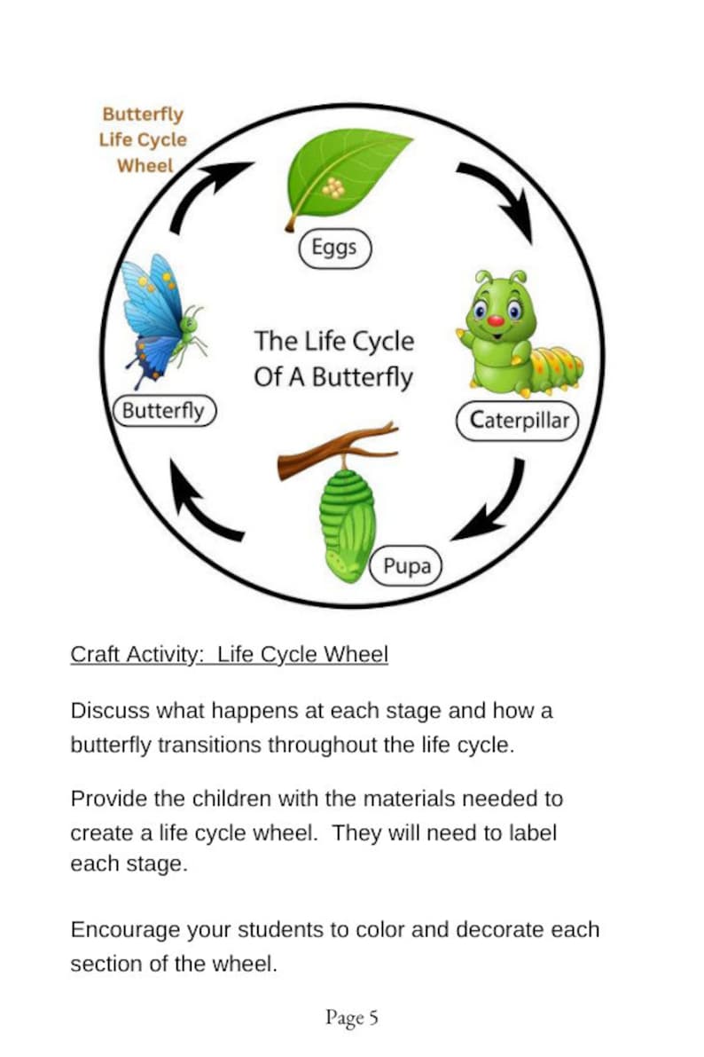 The Life Cycle of the Butterfly, Weeklong Lesson Plan, Butterfly