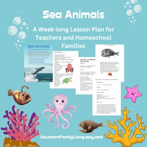 Könnte beinhalten: Türkisfarbener Hintergrund mit dem Text "Sea Animals" und "A Week-long Lesson Plan for Teachers and Homeschool Families." Das Bild enthält Illustrationen von Meeresbewohnern, darunter ein Delfin, ein Oktopus und ein Fisch. Der Etsy-Shop-Name ist sichtbar.