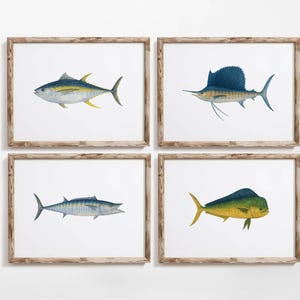 May include: Four framed art prints featuring watercolor illustrations of various fish species. The prints showcase a tuna, a sailfish, a mackerel, and a mahi-mahi, each in vibrant colors against a white background. The frames are made of light brown wood.