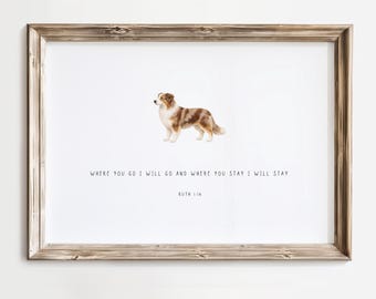 Könnte beinhalten: Ein gerahmter Kunstdruck mit einer Illustration eines braun-weißen Australian Shepherd Hundes über dem Text "WHERE YOU GO I WILL GO AND WHERE YOU STAY I WILL STAY" und dem Zitat "RUTH 1:16" in einer einfachen schwarzen Schrift.
