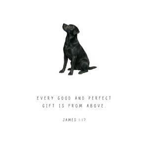 Może przedstawiać: Akwarelowa ilustracja czarnego labradora siedzącego i patrzącego w g&oacute;rę. Tekst "EVERY GOOD AND PERFECT GIFT IS FROM ABOVE. JAMES 1:17" jest wydrukowany poniżej na białym tle.