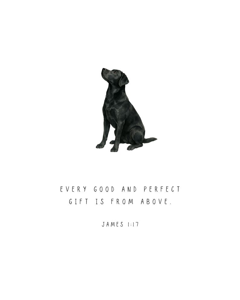 Może przedstawiać: Akwarelowa ilustracja czarnego labradora siedzącego i patrzącego w g&oacute;rę. Tekst "EVERY GOOD AND PERFECT GIFT IS FROM ABOVE. JAMES 1:17" jest wydrukowany poniżej na białym tle.