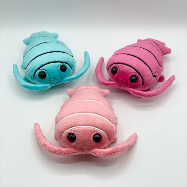 Adorable Colorful Isopod Plush Made to Order