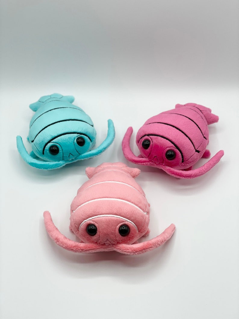 Adorable Colorful Isopod Plush Etsy