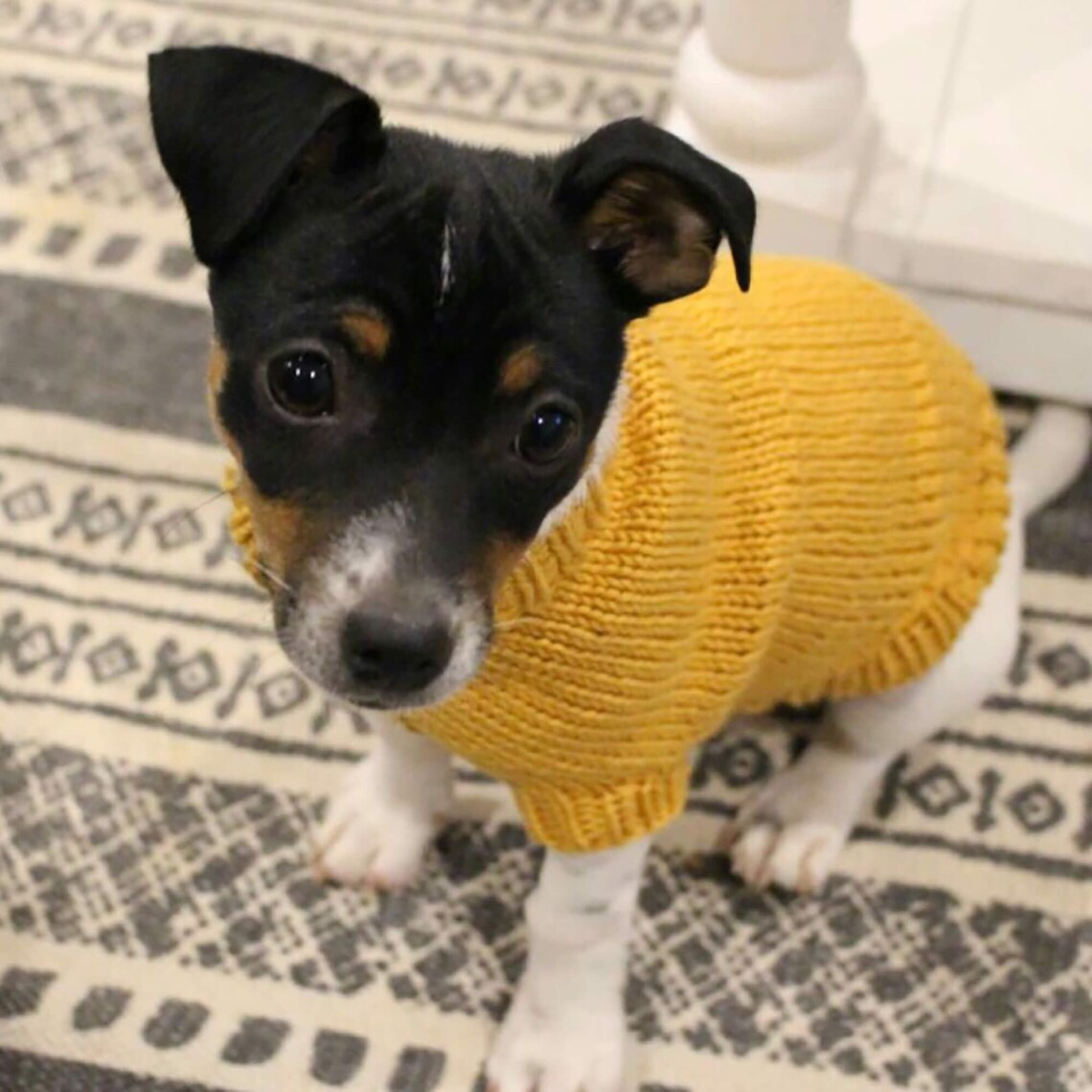 KNITTING PATTERN // Hand Knitted Dog Sweater Extra Small Etsy