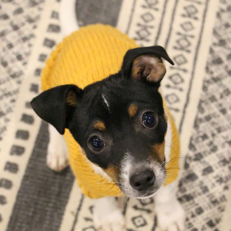 KNITTING PATTERN // Hand Knitted Dog Sweater Extra Small Etsy