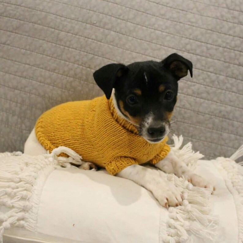 KNITTING PATTERN // Hand Knitted Dog Sweater Extra Small Etsy