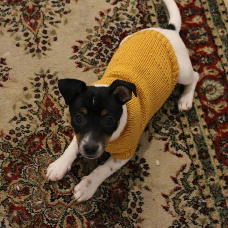 KNITTING PATTERN // Hand Knitted Dog Sweater Extra Small Etsy