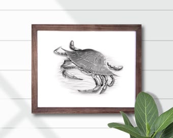 Florida Blue Crab Art Print: Charcoal Pencil High Detail Drawing, Coastal Fishing Home Decor, Wall Art, Black & White Minimalistic Design