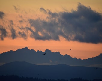 Puget Sound Sunset