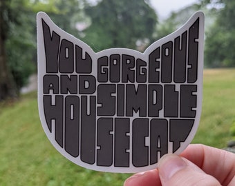 Leslie Knope Quote Sticker, You Gorgeous Simple House Cat