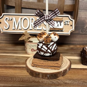 May include: A miniature s'mores treat on a stick, with a chocolate-covered marshmallow topped with graham cracker crumbs and chocolate drizzle. The treat is displayed on a wooden slice with two graham cracker squares and a chocolate bar.