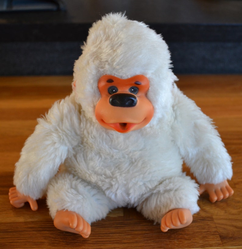 baby gonga monkey