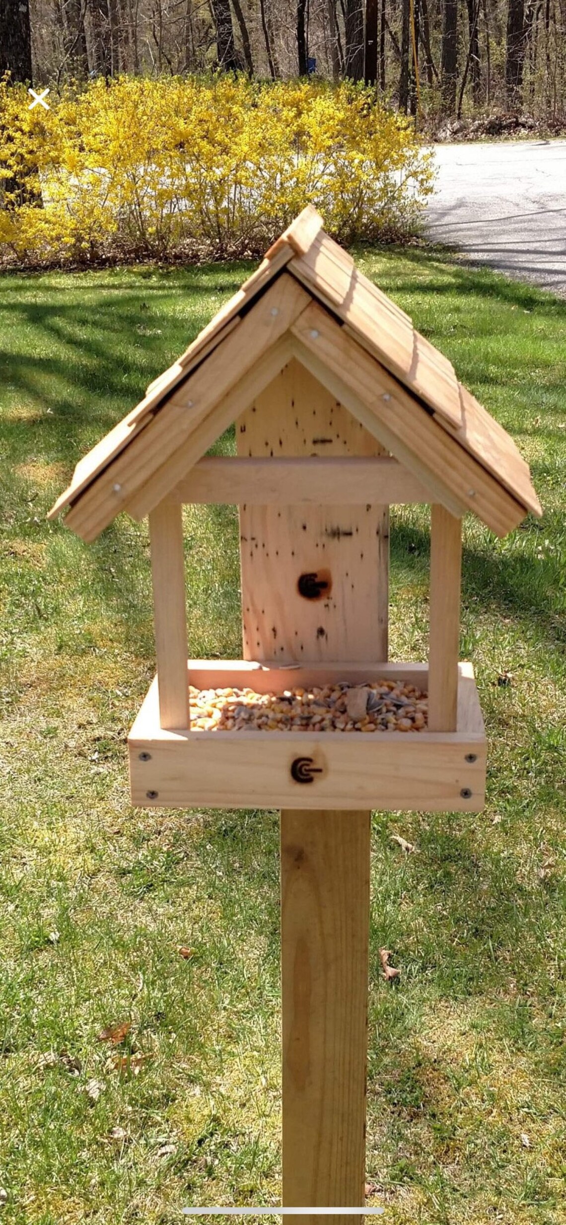 Homemade Squirrel Feeder Ideas