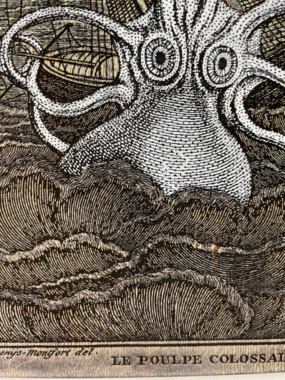 3dRose Vintage Octopus Gartenflagge – 30,5 X 45,7 Cm, Schwarz-weiß, Aus Polyester