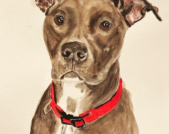 Custom Hand-Painted Watercolor Pet Portraits