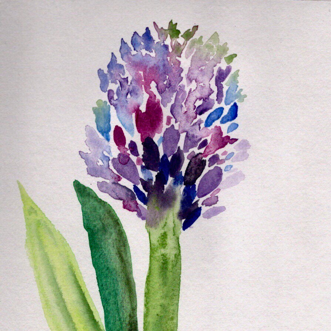 Stylised, Loose Hyacinth, Jacinthe Stylisée - Etsy