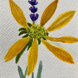 Two quick watercolour sketches of live and dead plants from my balcony