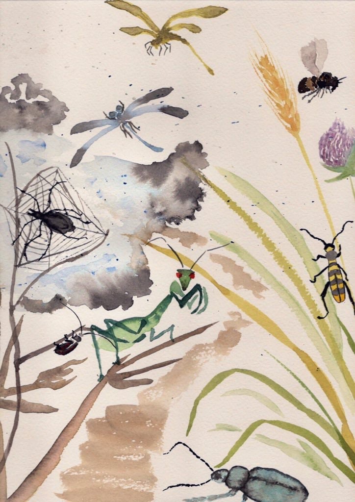 Insect studies Sumie style Etsy
