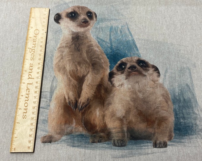 Meerkat Panel for cushion or bag, Animal, Animals, sold per panel