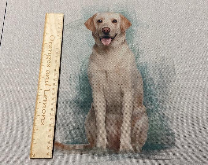 Labrador Dog Panel for cushion or bag, Animal, Animals, sold per panel