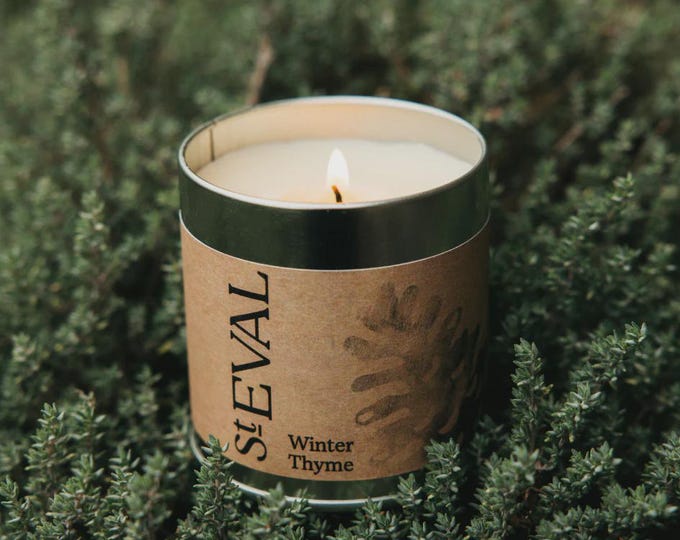 St Eval Winter Thyme Tin Candle – Fresh, Green & Uplifting