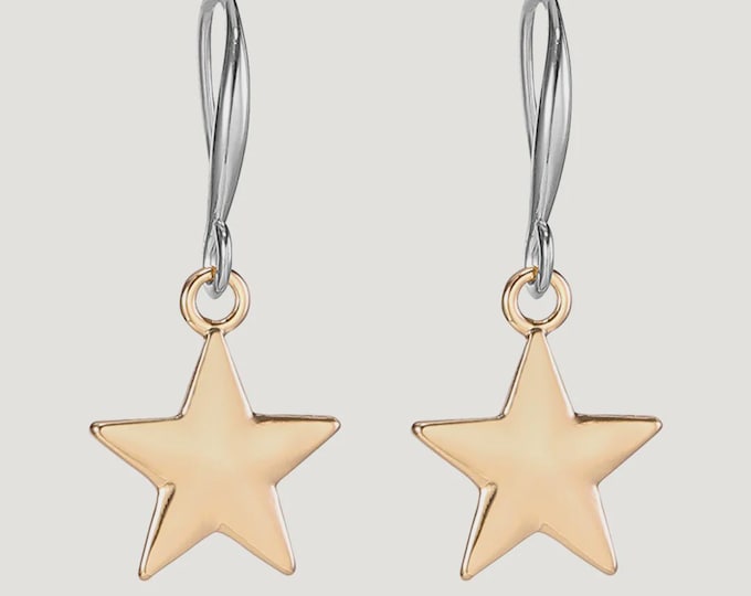 Gold & Silver Tone Base Alloy Hook Earrings