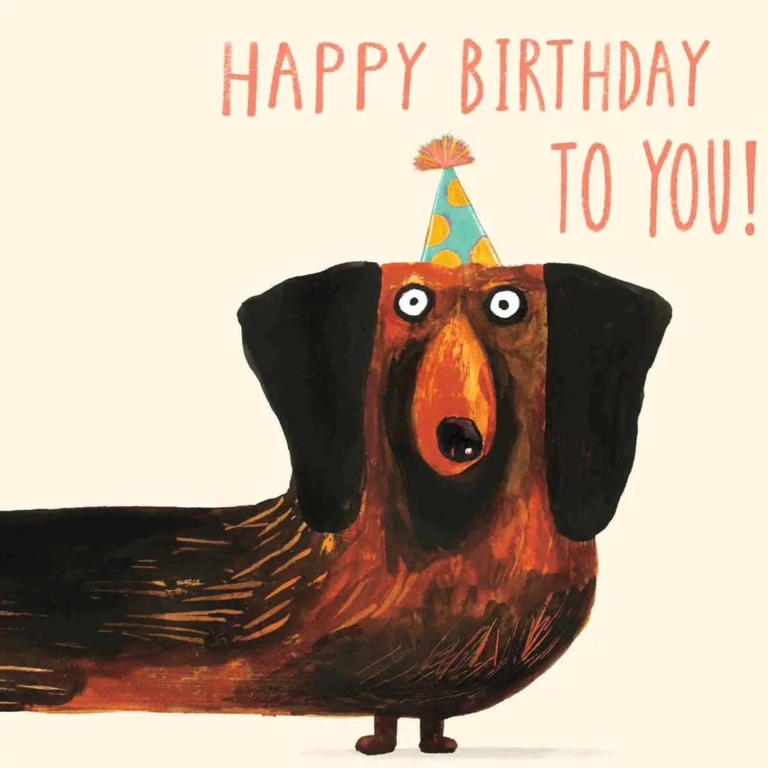 Sausage Dog Birthday Card | Dachshund Greeting Card - Etsy