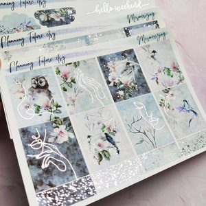 Betoverende stickerkit met zilverfolie, decoratieve stickers, functionele stickers, plannerstickers, logboekstickers