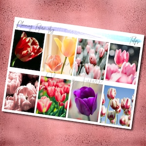 Fullbox-stickers tulpen, decoratieve stickers, plannerstickers, logboekstickers, scrapbooking