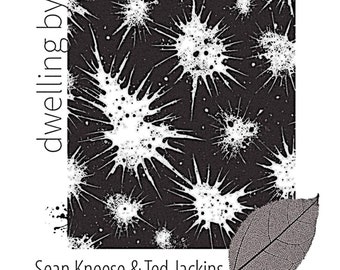 Dwelling By the Light of the Moon -- poems by Sean Kneese + Ted Jackins
