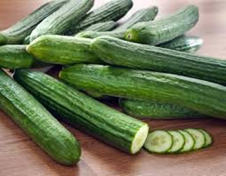 Heirloom Organic Japanese Tasty Green Cucumber Seeds Etsy