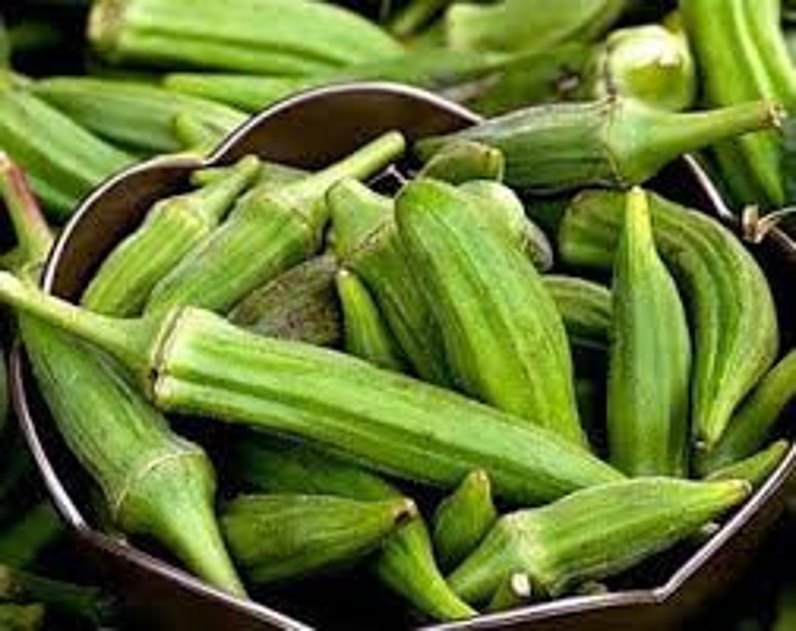 Organic Heirloom Emerald Okra Seeds Etsy