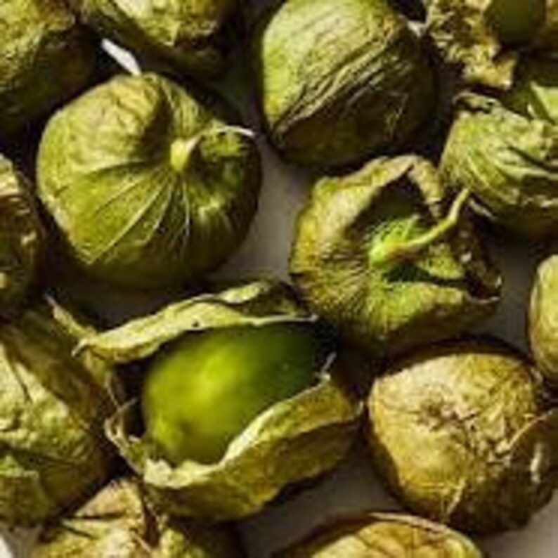 Heirloom Organic Green Tomatillo/ Mexican Husk Tomato Seeds Etsy