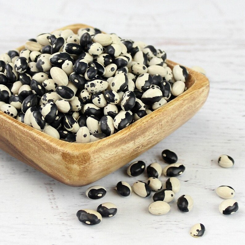 Heirloom Organic Orca Bean Seeds Aka Calypso Beans Yin Yang Etsy