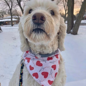 Love Letters Valentine’s Day Slide Through Bandana (30% of proceeds are donated to animal shelters&lt;3)