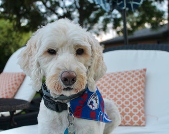 Buffalo Bills Slide Through Dog Bandana