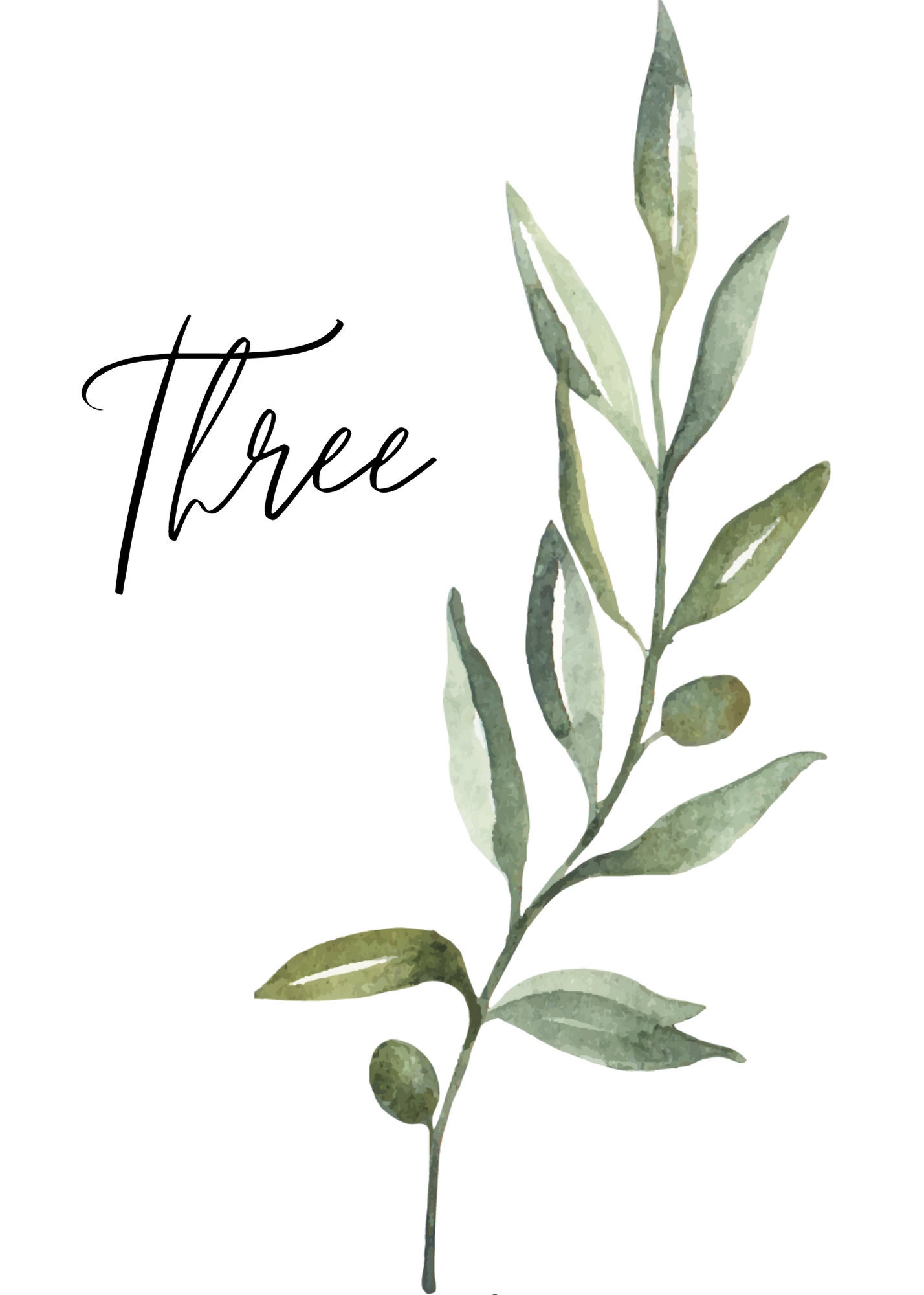 Olive Branch Wedding Table Number Template #1-7, Mediterranean Branch ...