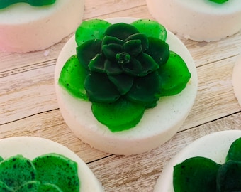 Succulent Bath Bombs