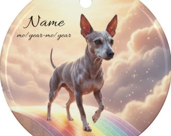 Personalized American Hairless Terrier Rainbow Bridge Ceramic Ornament, Custom American Hairless Terrier Memorial Tribute Mom Dad Keepsake