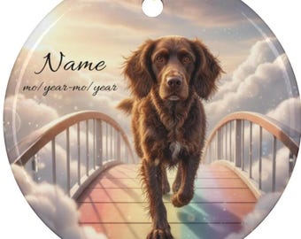 Personalized American Water Spaniel Rainbow Bridge Ceramic Ornament, Custom AWS Memorial Tribute Keepsake, Brown Spaniel Loss Remembrance