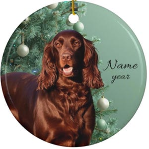 May include: A round Christmas ornament featuring a brown dog with long, wavy fur. The dog is in front of a Christmas tree with white ornaments. The ornament has the words "Name" and "year" in script.