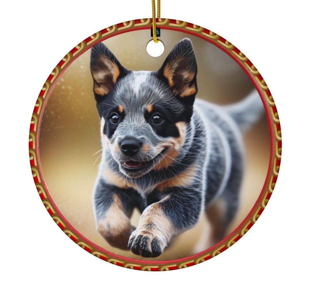 Personalized Blue Heeler Puppy Ornament With Black & White Sketch on ...