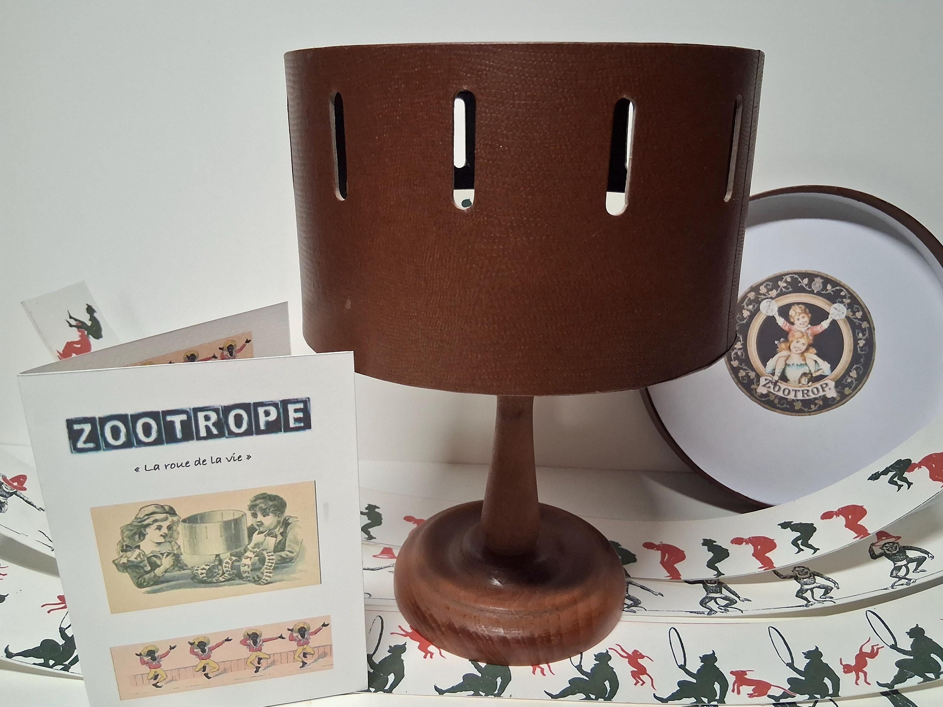 du praxinoscope au cellulo DVD付き The Praxinoscope Pre-Cinema Optical Animation Toy - YouTube