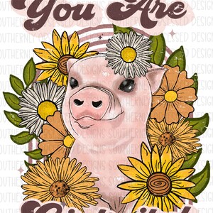 You Are Oink-iful Retro Schwein Digitales Design PNG