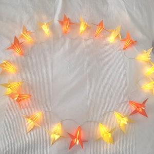 Lilly fairy lights