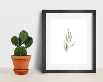 Puede incluir: Una impresión enmarcada en negro con un passe-partout blanco que presenta una ilustración botánica verde de una rama de hojas sobre un fondo blanco.