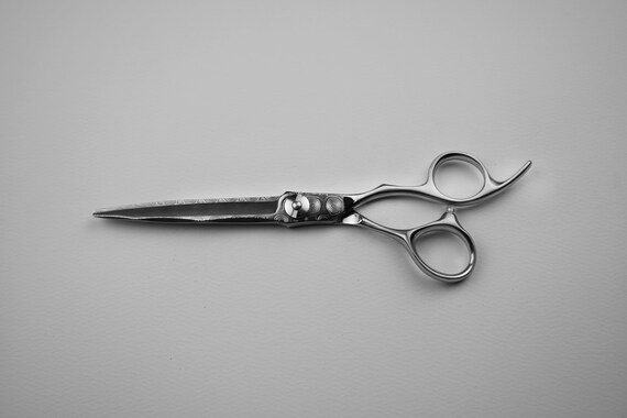 professional barber hair cutting scissors shears